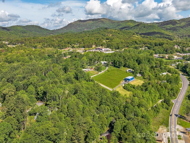 26 Morrow Dr, Fairview, NC 28730 - aerial view of property's location featuring a forest and a mountain backdrop