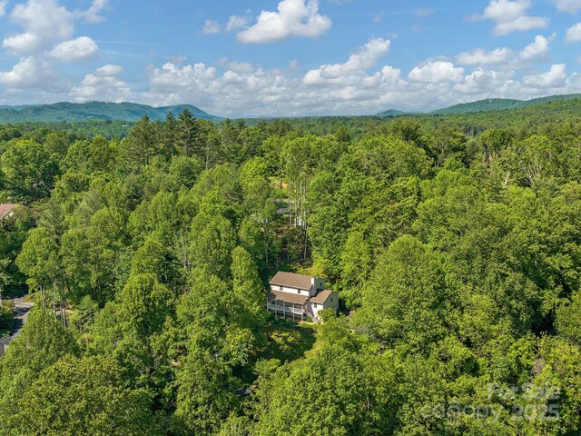 26 Morrow Dr, Fairview, NC 28730 - drone / aerial view of a forest