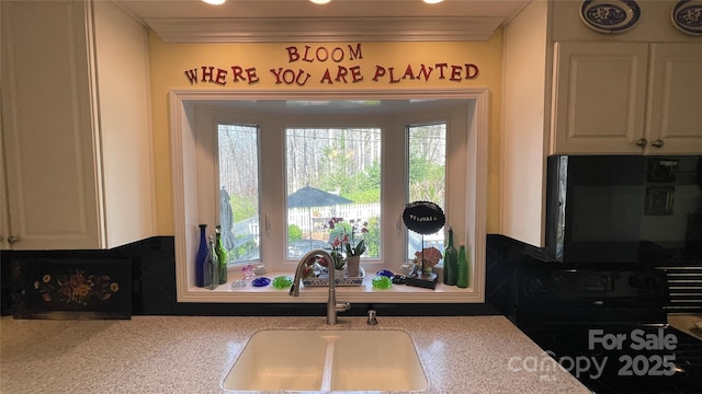 700 Valleyview Dr Unit 1, Albemarle, NC 28001 - kitchen with a sink, plenty of natural light, ornamental molding, white cabinets, and light countertops