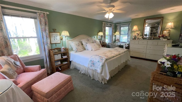 700 Valleyview Dr Unit 1, Albemarle, NC 28001 - carpeted bedroom with multiple windows and a ceiling fan