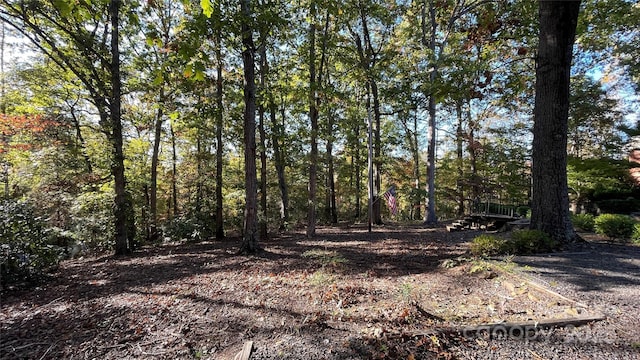 700 Valleyview Dr Unit 1, Albemarle, NC 28001 - view of tree filled area