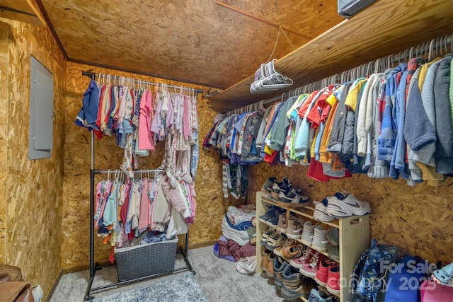 3803 Cook Rd, Valdese, NC 28690 - spacious closet with electric panel and carpet