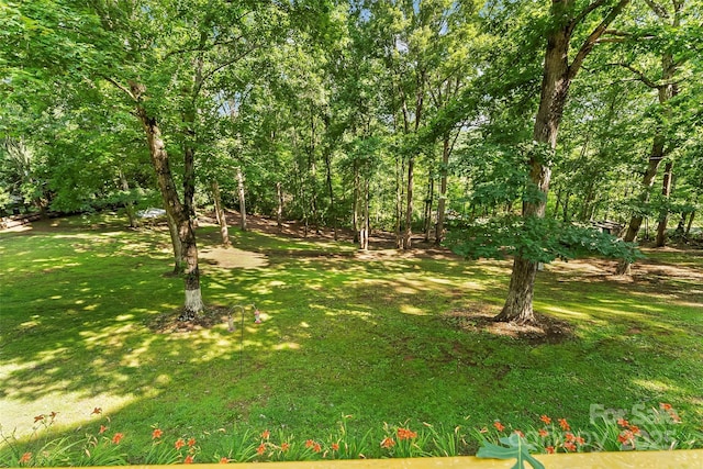 2496 Messer St, Valdese, NC 28690 - view of green lawn