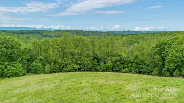 000 Pearson Rd, Moravian Falls, NC 28654