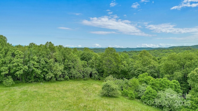 000 Pearson Rd, Moravian Falls, NC 28654
