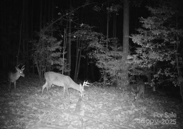 000 Pearson Rd, Moravian Falls, NC 28654