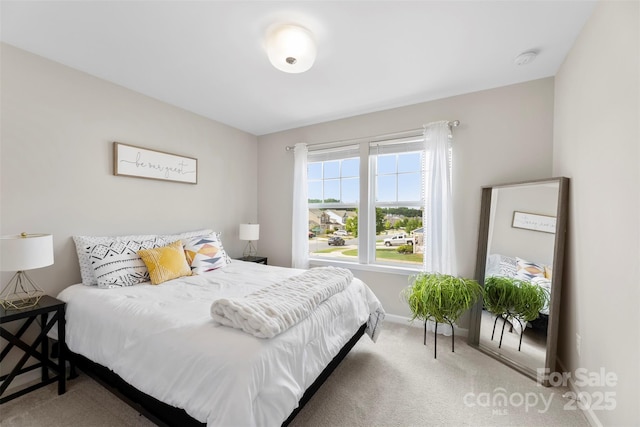 2104 New Hope Branch Way, Belmont, NC 28012 - carpeted bedroom featuring baseboards
