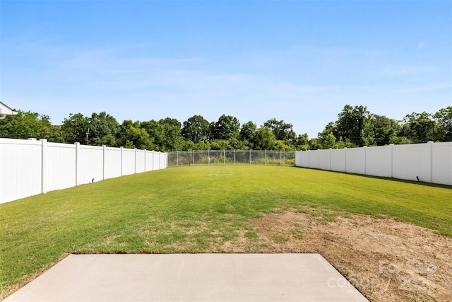 2104 New Hope Branch Way, Belmont, NC 28012 - view of yard