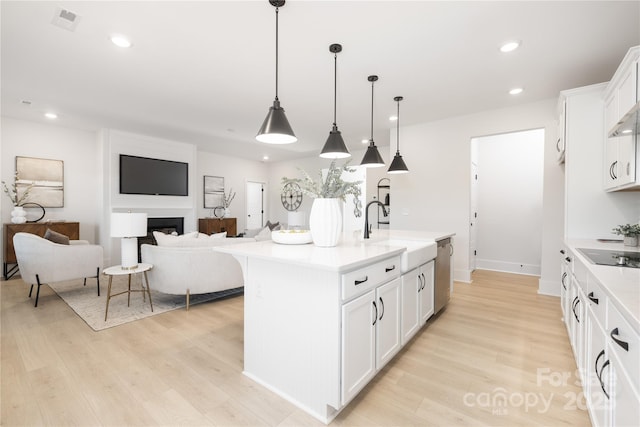 219 Tillery Ln Unit 755, Mount Gilead, NC 27306 - kitchen with a sink, dishwasher, open floor plan, light wood-type flooring, and recessed lighting
