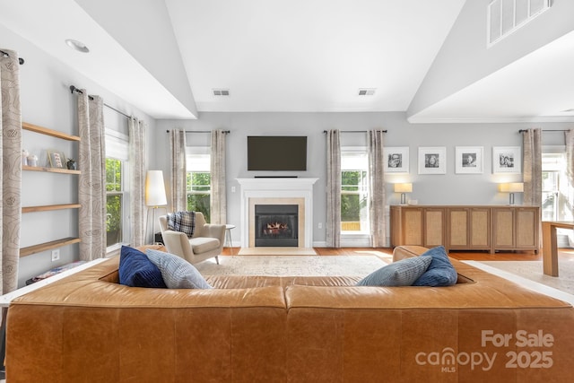 516 King St, Waxhaw, NC 28173 - living room featuring vaulted ceiling, wood finished floors, healthy amount of natural light, and a tiled fireplace