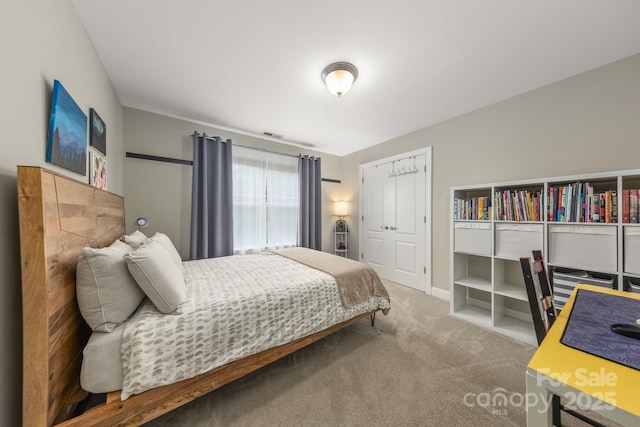 516 King St, Waxhaw, NC 28173 - bedroom featuring carpet and a closet