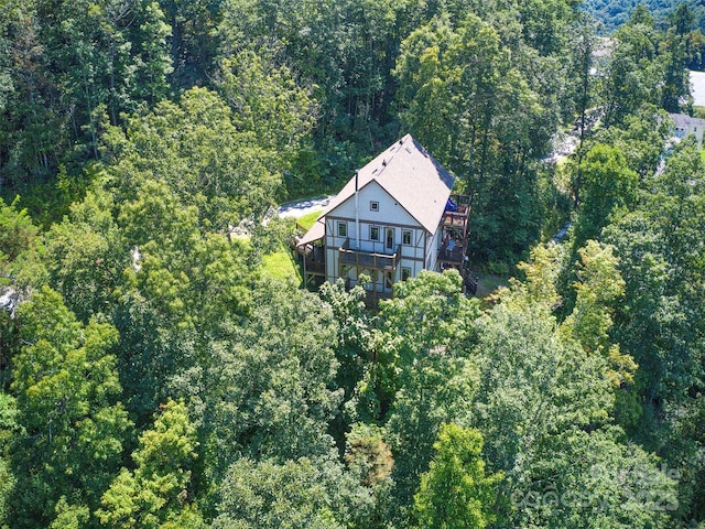 20A Lila Ln, Clyde, NC 28721 - view of property location featuring a heavily wooded area