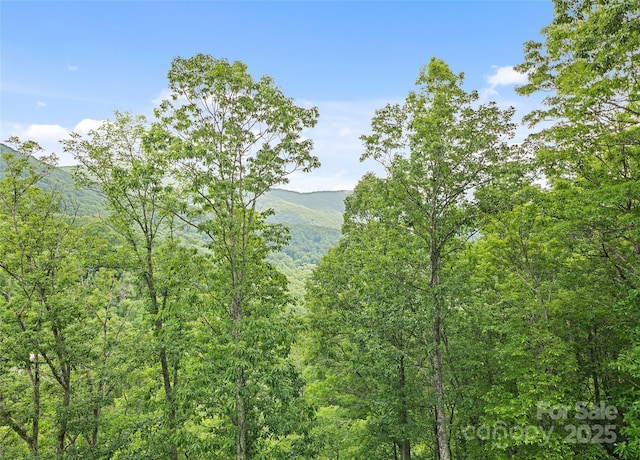 20A Lila Ln, Clyde, NC 28721 - photo 2