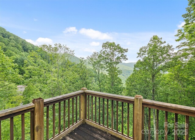 20A Lila Ln, Clyde, NC 28721 - photo 15
