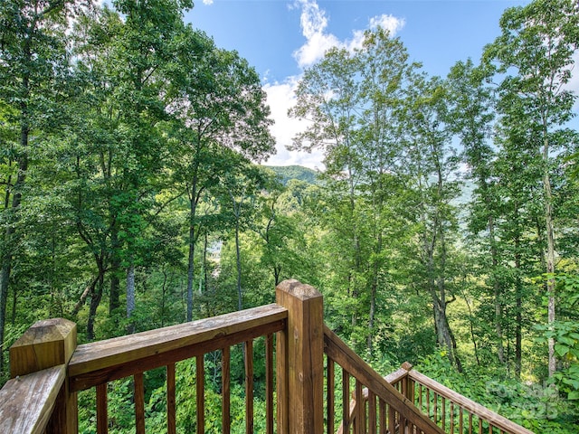 20A Lila Ln, Clyde, NC 28721 - photo 16