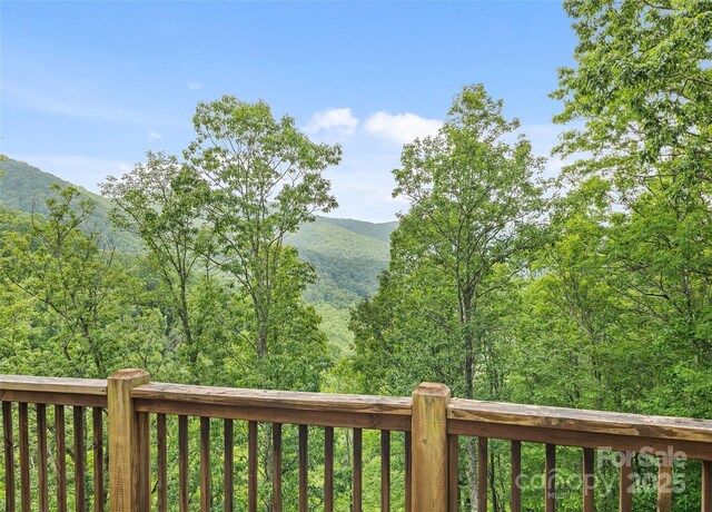 20A Lila Ln, Clyde, NC 28721 - photo 17
