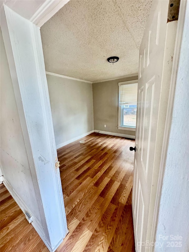 926 Cantwell St, Charlotte, NC 28208 - photo 4