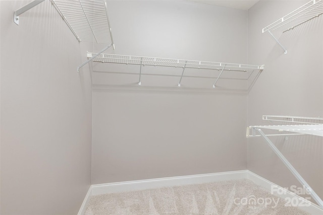 3906 Balsam St, Indian Trail, NC 28079 - spacious closet with carpet floors