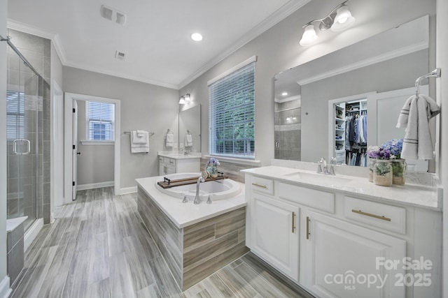 11216 Preservation Ln, Charlotte, NC 28278 - full bathroom with a shower stall, two vanities, a garden tub, ornamental molding, and a spacious closet