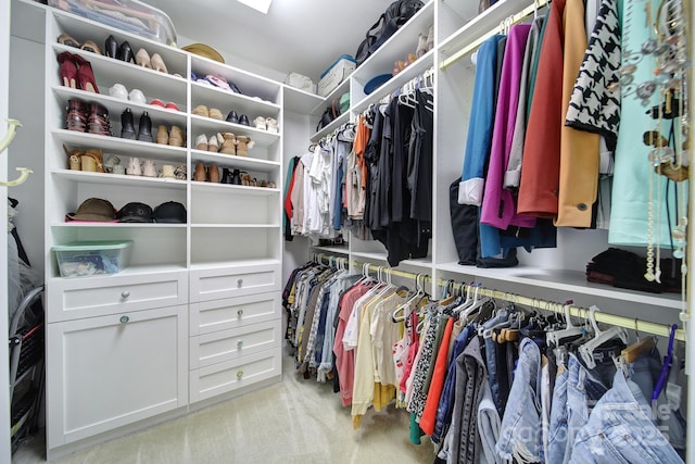 11216 Preservation Ln, Charlotte, NC 28278 - walk in closet with light carpet