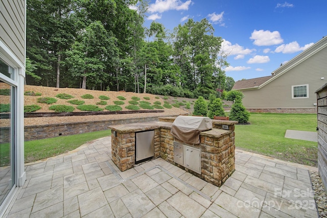 11216 Preservation Ln, Charlotte, NC 28278 - view of patio with exterior kitchen