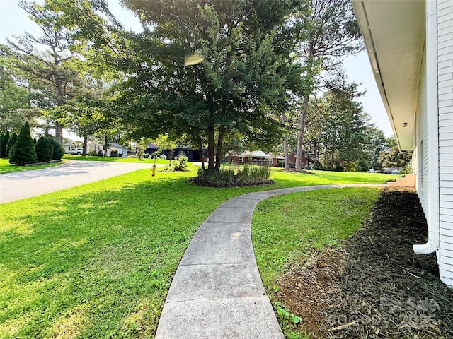 2469 Elkwood Cir, Charlotte, NC 28205 - view of grassy yard