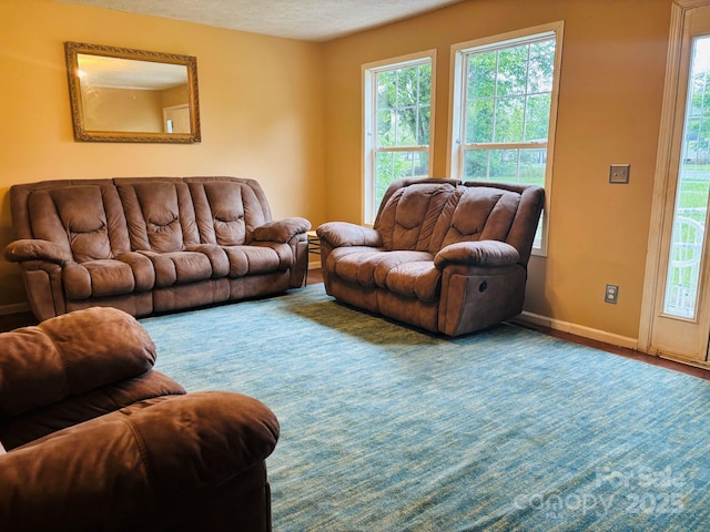 16 English Oaks Dr, Candler, NC 28715 - living area featuring baseboards