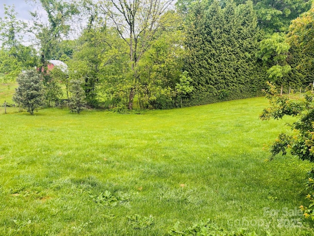 16 English Oaks Dr, Candler, NC 28715 - view of green lawn