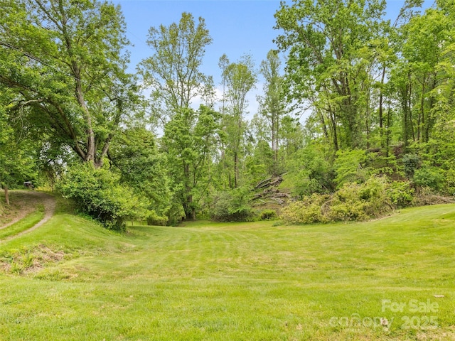 140 Old Leicester Rd, Asheville, NC 28804 - photo 5