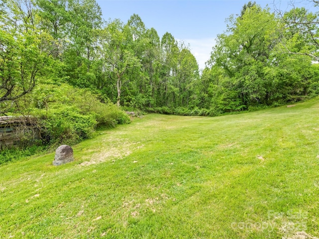 140 Old Leicester Rd, Asheville, NC 28804 - photo 7