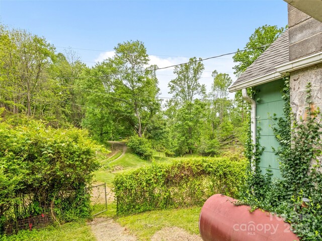 140 Old Leicester Rd, Asheville, NC 28804 - photo 9