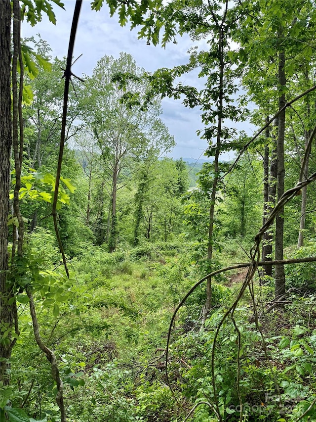 12 Willow Knoll Dr, Weaverville, NC 28787