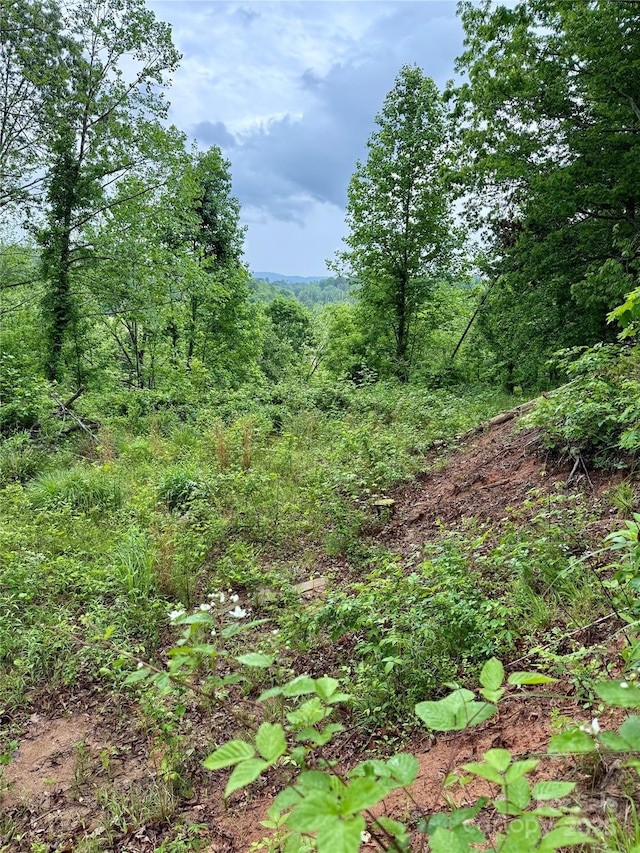 12 Willow Knoll Dr, Weaverville, NC 28787