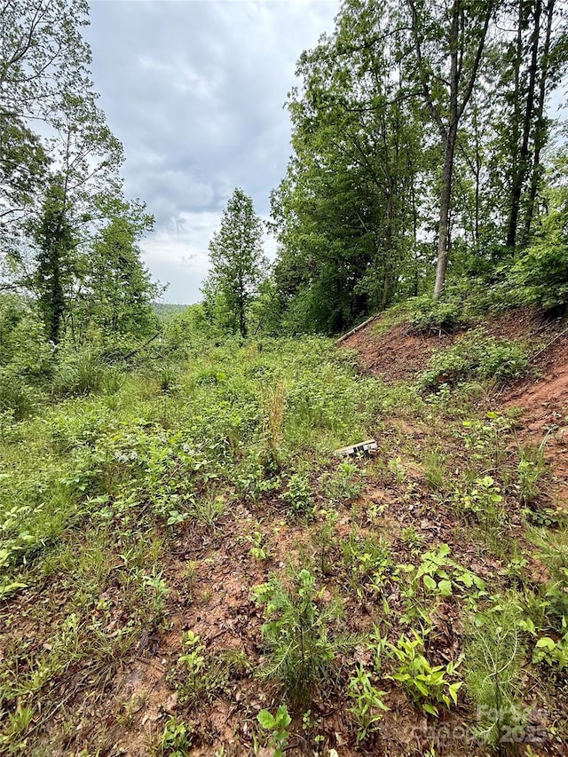 12 Willow Knoll Dr, Weaverville, NC 28787