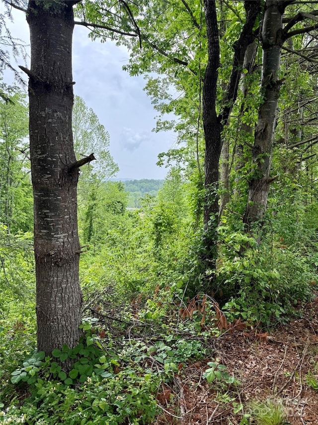 12 Willow Knoll Dr, Weaverville, NC 28787