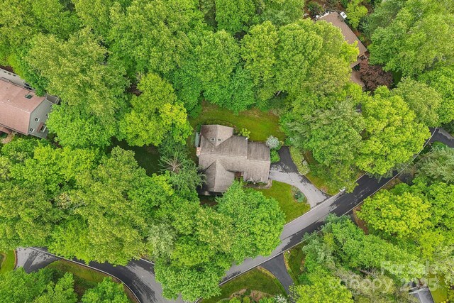 107 Camellia Way, Hendersonville, NC 28739 - photo 41