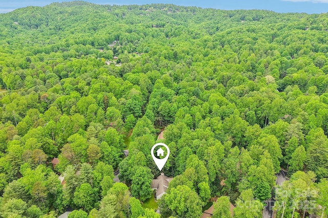 107 Camellia Way, Hendersonville, NC 28739 - photo 42