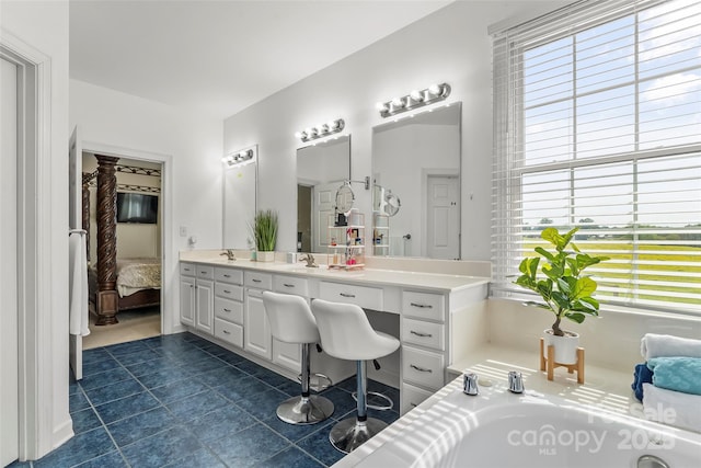 1825 Smyre Farm Rd, Newton, NC 28658 - bathroom with tile patterned floors, plenty of natural light, a bathtub, and double vanity