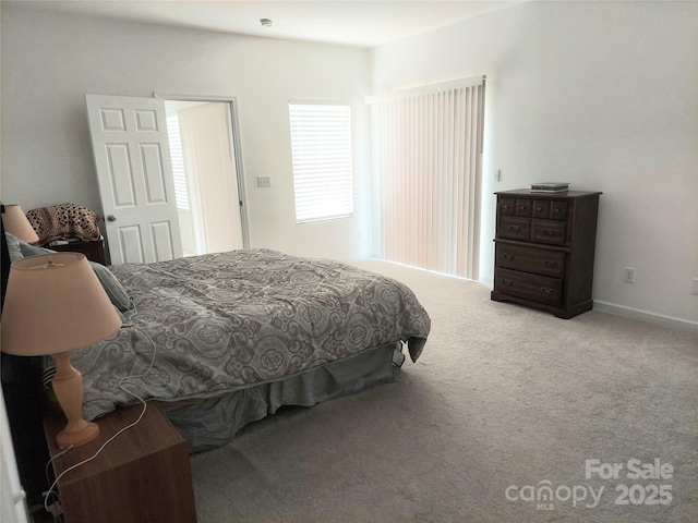 2061 Argentum Ave, Fort Mill, SC 29707 - bedroom featuring carpet flooring
