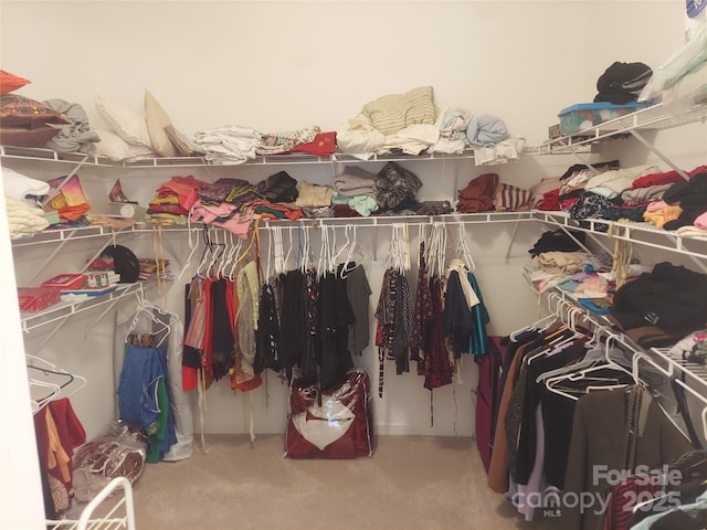 2061 Argentum Ave, Fort Mill, SC 29707 - spacious closet featuring carpet floors