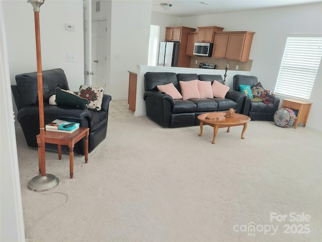 2061 Argentum Ave, Fort Mill, SC 29707 - living area with light carpet