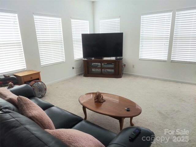 2061 Argentum Ave, Fort Mill, SC 29707 - living area featuring carpet and baseboards