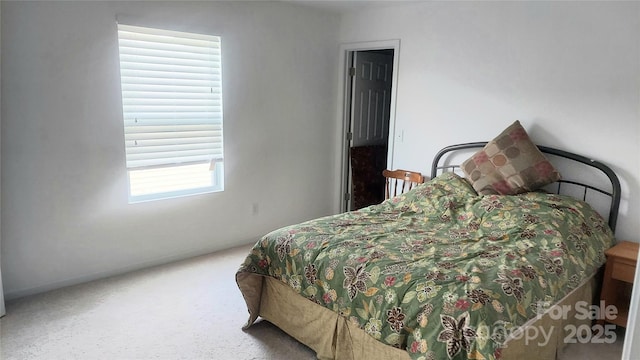 2061 Argentum Ave, Fort Mill, SC 29707 - bedroom with carpet floors and baseboards