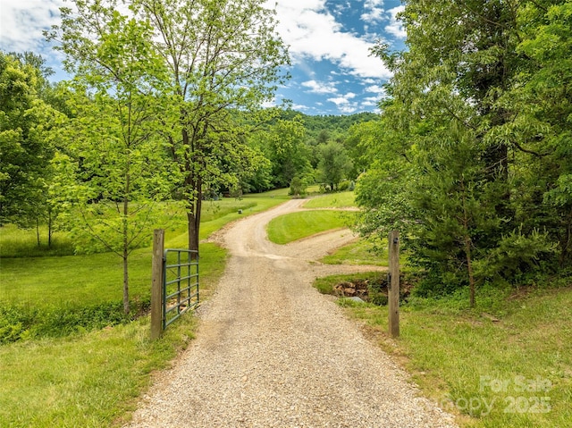 575 Upper Glady Fork Rd, Candler, NC 28715 - view of road with a view of trees
