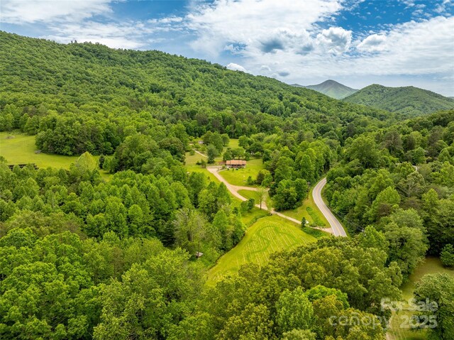 575 Upper Glady Fork Rd, Candler, NC 28715 - aerial view of a heavily wooded area and a mountain backdrop