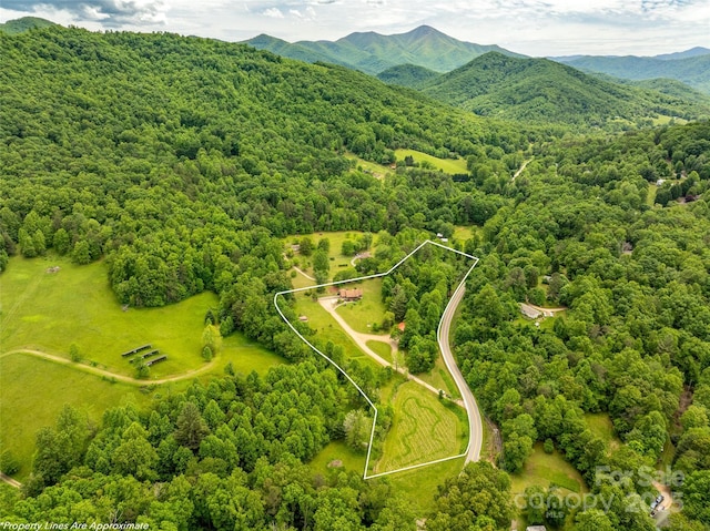 575 Upper Glady Fork Rd, Candler, NC 28715 - view of property location featuring property boundaries highlighted, a heavily wooded area, and a mountain backdrop