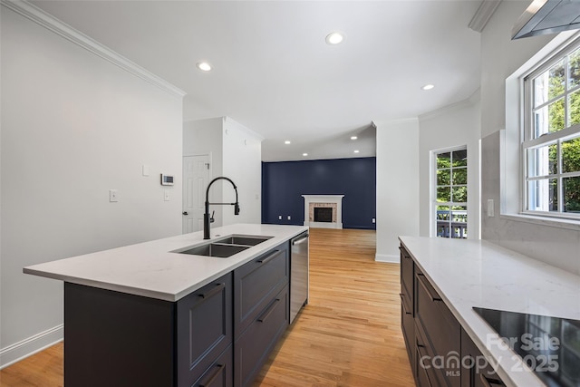 1134 Blueberry Ln, Charlotte, NC 28226 - kitchen featuring black electric cooktop, ornamental molding, dishwasher, light wood-style floors, and plenty of natural light