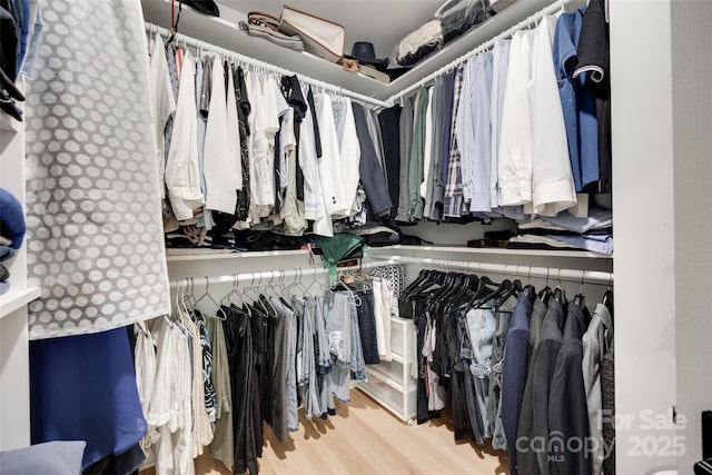 1134 Blueberry Ln, Charlotte, NC 28226 - walk in closet with wood finished floors