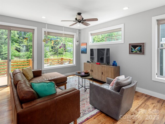 236 Sand Hill Rd, Asheville, NC 28806 - photo 5