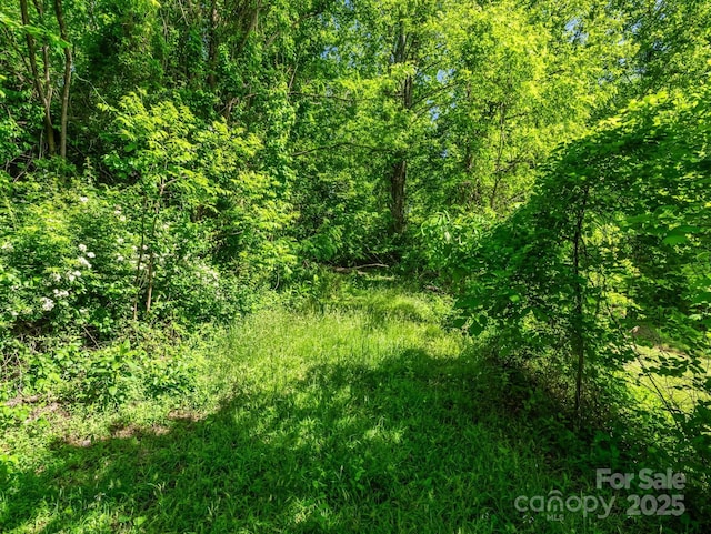 00 Hamilton Acres Dr, Hendersonville, NC 28792